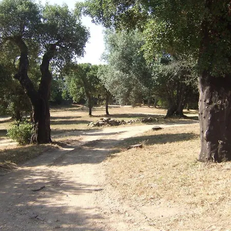 בית נופש Holiday Route De Nota - 2 *